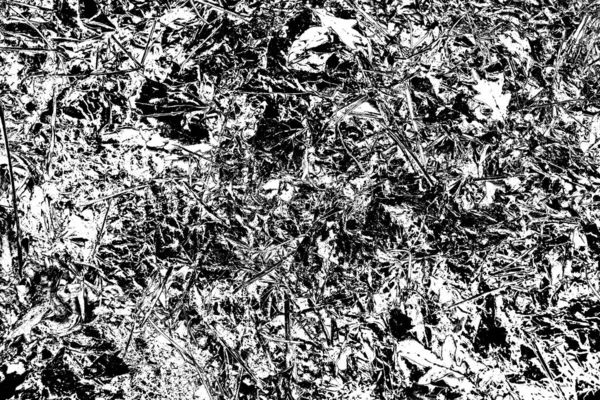 Fondo Grunge Abstracto Textura Monocromática Fondo Texturizado Blanco Negro — Foto de Stock