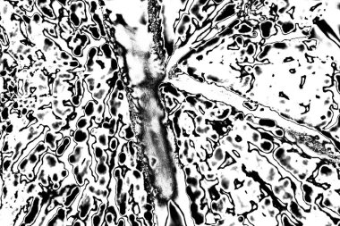 Soyut grunge arkaplanı. Monokrom dokusu. Siyah ve beyaz desenli arkaplan