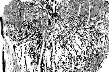 Soyut grunge arkaplanı. Monokrom dokusu. Siyah ve beyaz desenli arkaplan