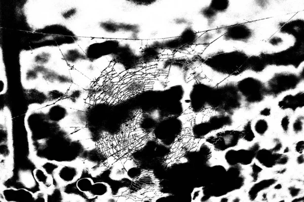 抽象的黑白背景 单色纹理 — 图库照片