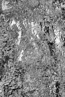 Soyut arkaplan. monokrom dokusu. resim siyah ve beyaz tonları içerir.