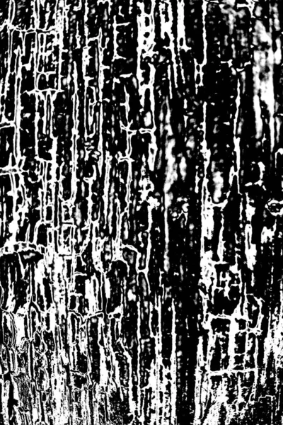 Résumé Fond Grunge Texture Monochrome Fond Texturé Noir Blanc — Photo