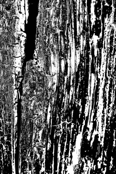 Abstraktní Grunge Pozadí Monochromní Textura Černobílé Texturované Pozadí — Stock fotografie