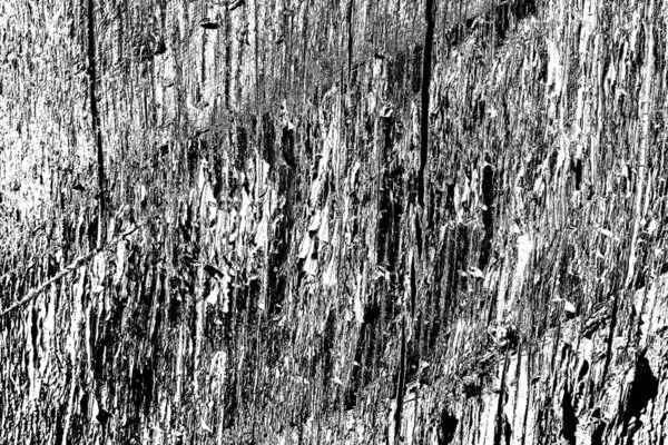 Abstract Grunge Background Monochrome Texture Black White Textured Background — Stock Photo, Image