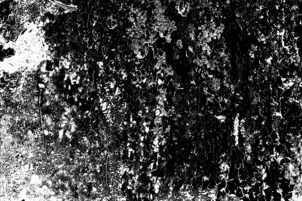 Abstract Grunge Background Monochrome Texture Black White Textured Background — Stock Photo, Image