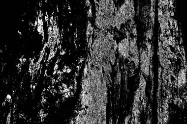 Soyut grunge arkaplanı. Monokrom dokusu. Siyah ve beyaz desenli arkaplan