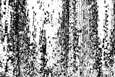 Siyah ve beyaz grunge dokusunun gösterimi