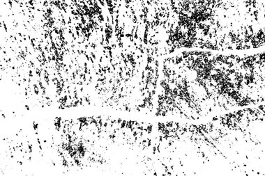 siyah ve beyaz doku, soyut arkaplan 