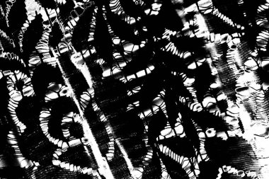 Soyut grunge arkaplanı. Monokrom dokusu. Siyah ve beyaz desenli arkaplan