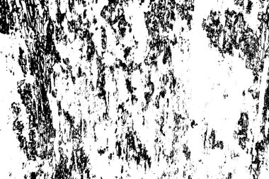 siyah ve beyaz doku, soyut arkaplan 