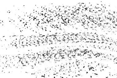 Soyut grunge arkaplanı. Monokrom dokusu. Siyah ve beyaz desenli arkaplan