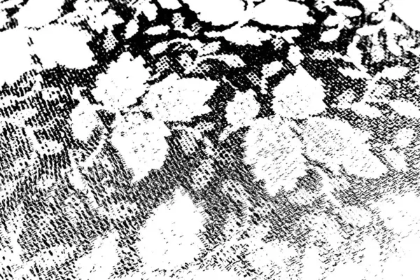 Résumé Fond Grunge Texture Monochrome Fond Texturé Noir Blanc — Photo