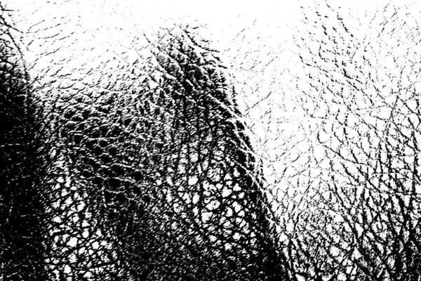 Ilustração Preto Branco Textura Grunge — Fotografia de Stock