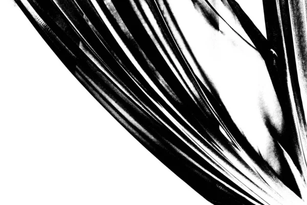 흑백의 — 스톡 사진