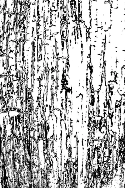 Illustrazione Bianco Nero Della Grunge Texture — Foto Stock