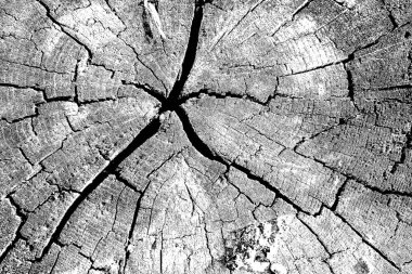 grunge dokusunun siyah beyaz çizimi 