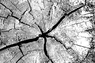 grunge dokusunun siyah beyaz çizimi 