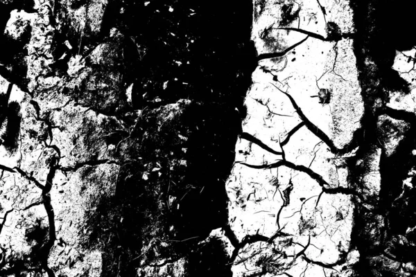 Abstract Background Monochrome Texture Image Including Effect Black White Tones — Stock Photo, Image