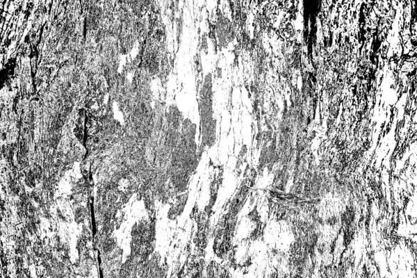 Fondo Grunge Abstracto Textura Monocromática Fondo Texturizado Blanco Negro —  Fotos de Stock