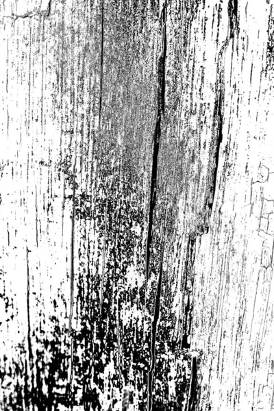 Illustration Noir Blanc Texture Grunge — Photo