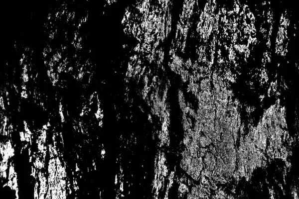 Fondo Grunge Abstracto Textura Monocromática Fondo Texturizado Blanco Negro — Foto de Stock