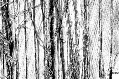 Soyut siyah beyaz arkaplan. Monokrom dokusu. 