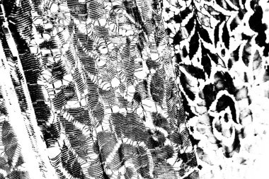 Soyut arkaplan. monokrom dokusu. resim siyah ve beyaz tonları içerir.