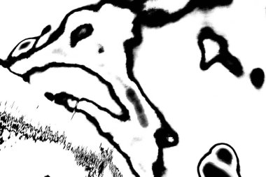 Soyut arkaplan. monokrom dokusu. resim siyah ve beyaz tonları içerir.