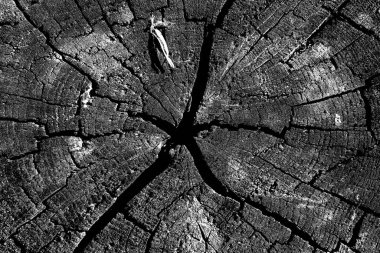 Soyut arkaplan. monokrom dokusu. resim siyah ve beyaz tonları içerir.