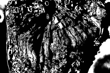 Soyut arkaplan. monokrom dokusu. resim siyah ve beyaz tonları içerir.