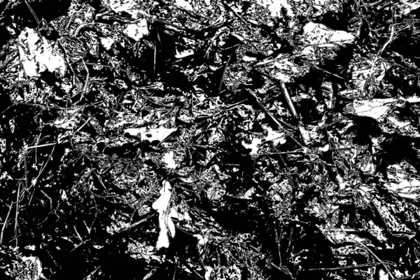 Sfondo Astratto Texture Monocromatica Immagine Compreso Effetto Toni Bianco Nero — Foto Stock