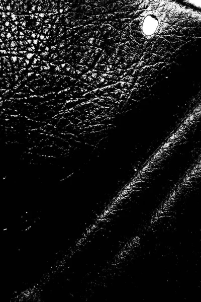 Fond Abstrait Texture Monochrome Image Incluant Effet Les Tons Noir — Photo