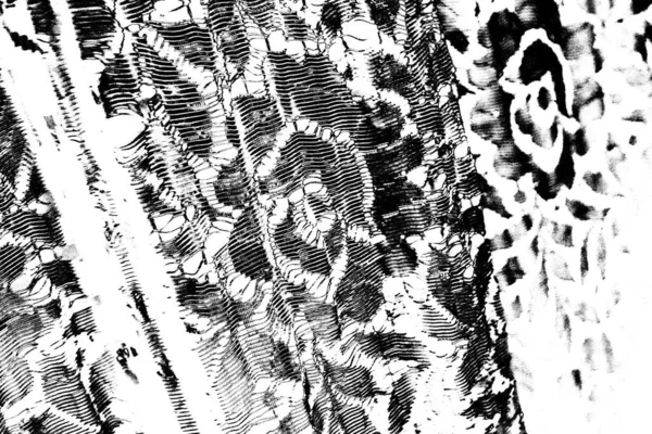 Sfondo Astratto Texture Monocromatica Immagine Compreso Effetto Toni Bianco Nero — Foto Stock