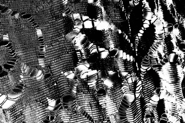 Fondo Texturizado Blanco Negro Abstracto Textura Monocromática — Foto de Stock