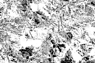 Soyut arkaplan. Monokrom dokusu.