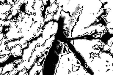 Soyut siyah beyaz arkaplan. Monokrom dokusu. 