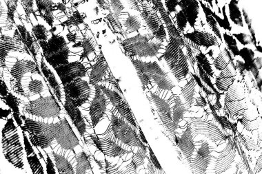 Soyut arkaplan. monokrom dokusu. resim siyah ve beyaz tonları içerir.