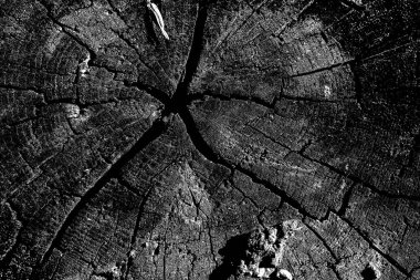 Soyut grunge arkaplanı. Monokrom dokusu. Siyah ve beyaz desenli arkaplan