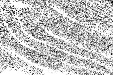Soyut arkaplan. monokrom dokusu. resim siyah ve beyaz tonları içerir.