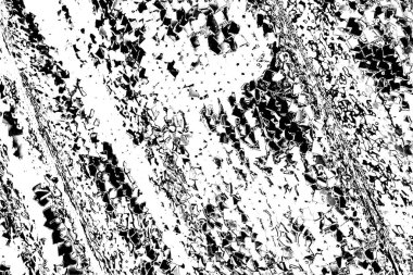 Soyut siyah beyaz arkaplan. Monokrom dokusu. 