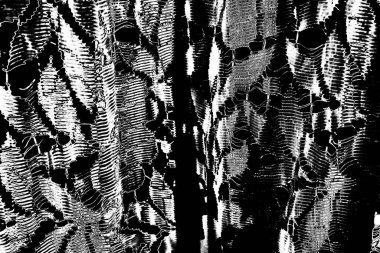 Soyut arkaplan. monokrom dokusu. resim siyah ve beyaz tonları içerir.