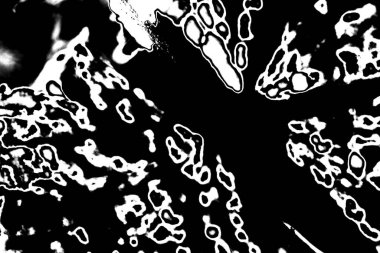 Soyut grunge arkaplanı. Monokrom dokusu. Siyah ve beyaz desenli arkaplan