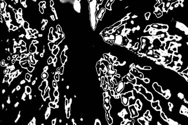 Soyut grunge arkaplanı. Monokrom dokusu. Siyah ve beyaz desenli arkaplan