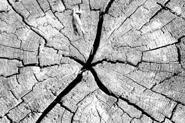 Soyut siyah beyaz arkaplan. Monokrom dokusu. 