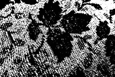Soyut grunge arkaplanı. Monokrom dokusu. Siyah ve beyaz desenli arkaplan