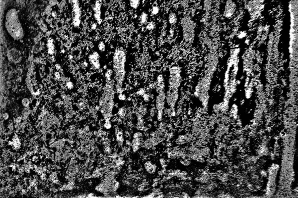 Fond Abstrait Texture Monochrome Image Incluant Effet Les Tons Noir — Photo