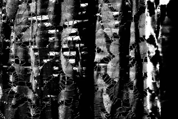 Fond Abstrait Texture Monochrome Image Incluant Effet Les Tons Noir — Photo