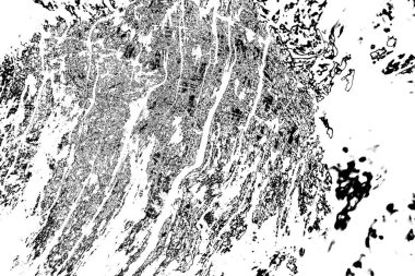 Soyut arkaplan. monokrom dokusu. resim siyah ve beyaz tonları içerir.