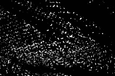 Soyut grunge arkaplanı. Monokrom dokusu. Siyah ve beyaz desenli arkaplan