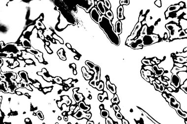 Soyut arkaplan. Monokrom dokusu.